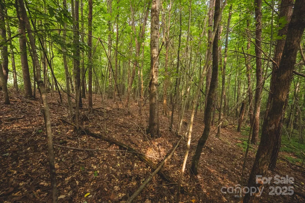 00 Johnson Ridge Road Elkin, NC 28621