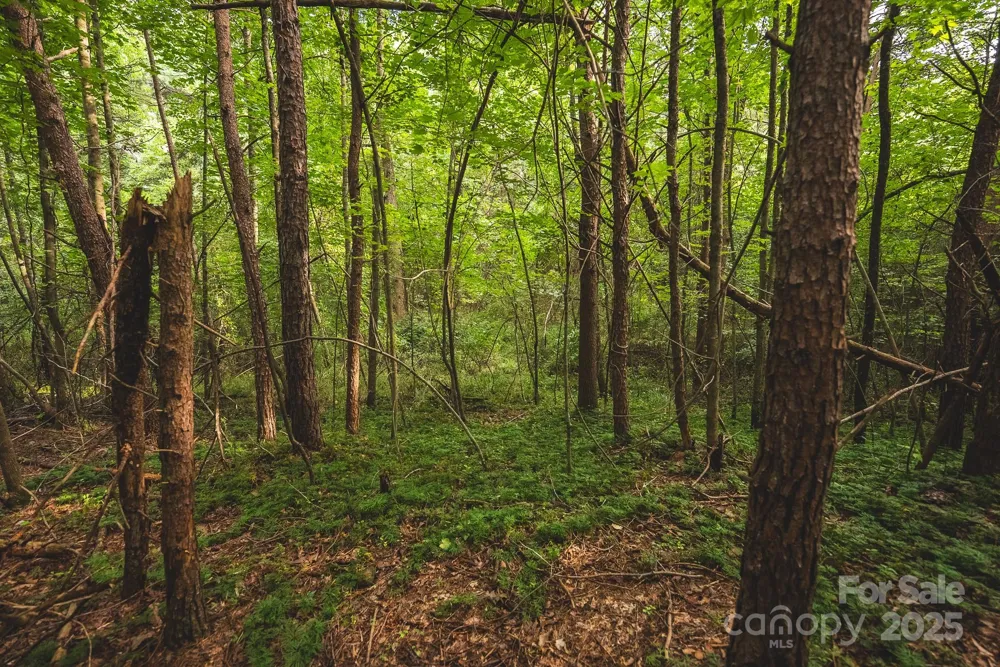 00 Johnson Ridge Road Elkin, NC 28621