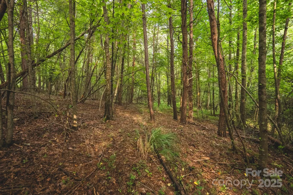 00 Johnson Ridge Road Elkin, NC 28621