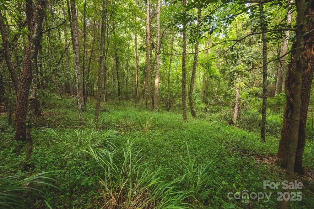 00 Johnson Ridge Road Elkin, NC 28621