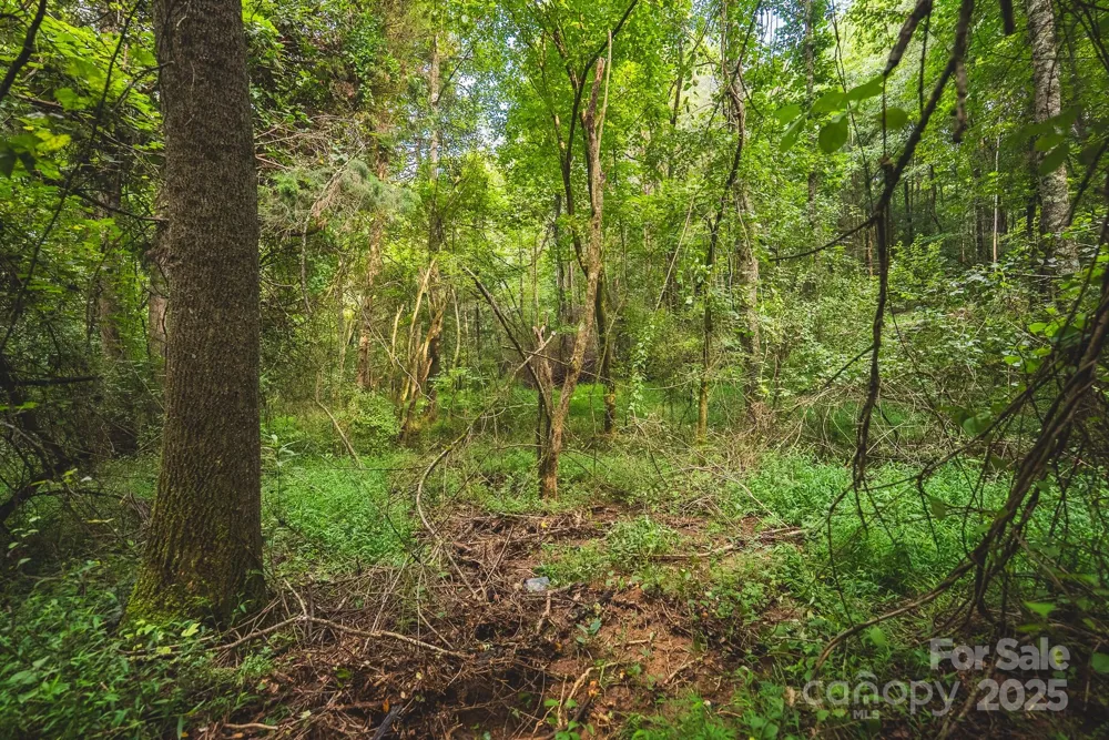 00 Johnson Ridge Road Elkin, NC 28621