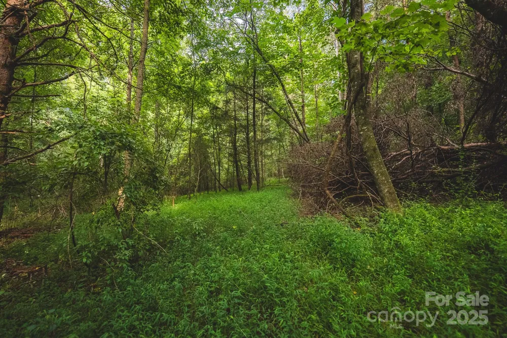 00 Johnson Ridge Road Elkin, NC 28621