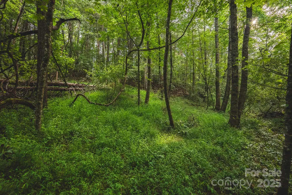 00 Johnson Ridge Road Elkin, NC 28621