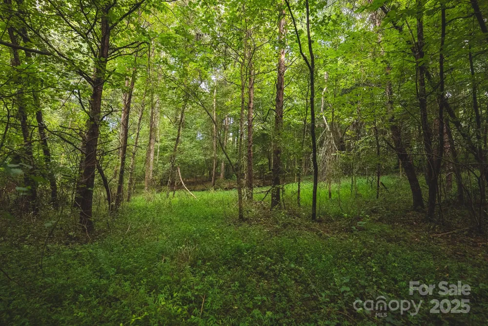 00 Johnson Ridge Road Elkin, NC 28621