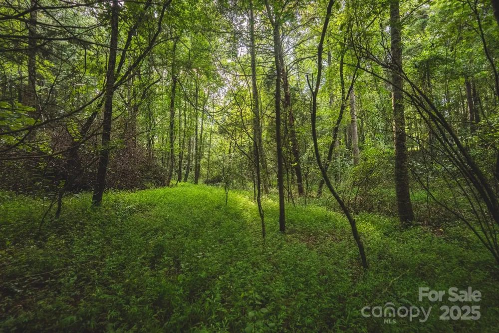 00 Johnson Ridge Road Elkin, NC 28621