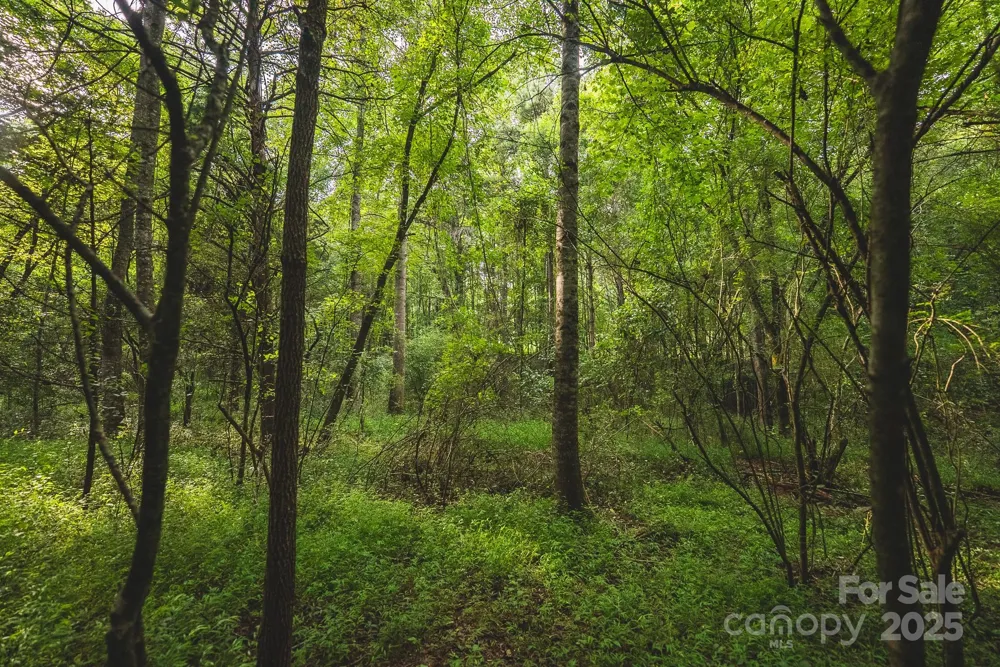 00 Johnson Ridge Road Elkin, NC 28621