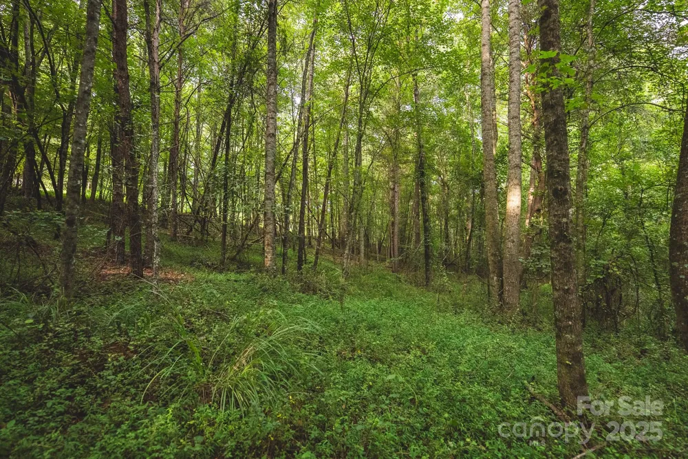 00 Johnson Ridge Road Elkin, NC 28621