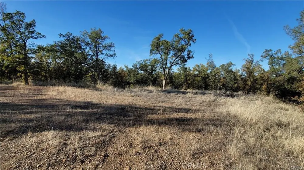 17435 Quail Ridge Road Cottonwood, CA 96022