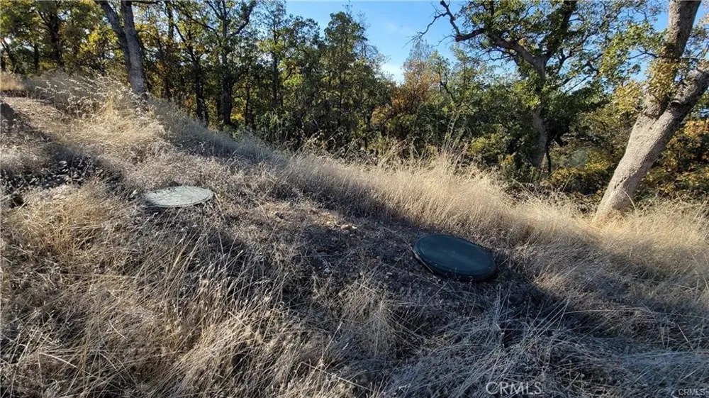 17435 Quail Ridge Road Cottonwood, CA 96022