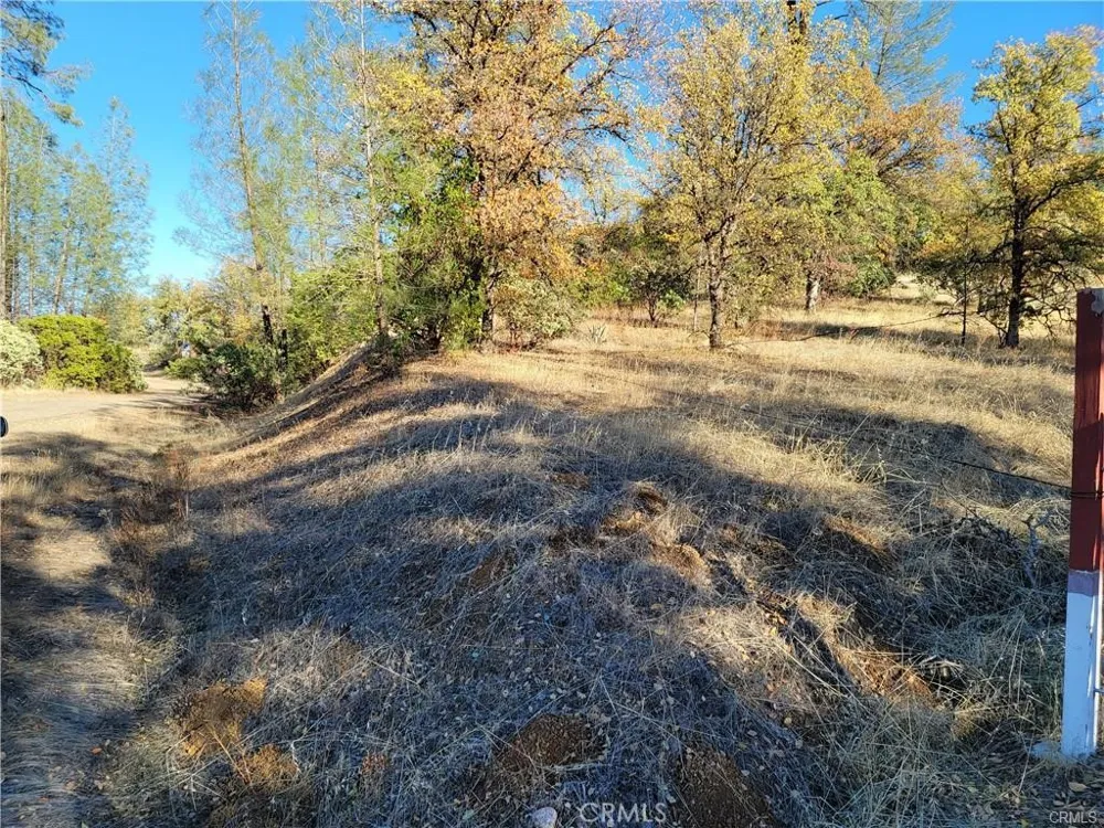 17435 Quail Ridge Road Cottonwood, CA 96022
