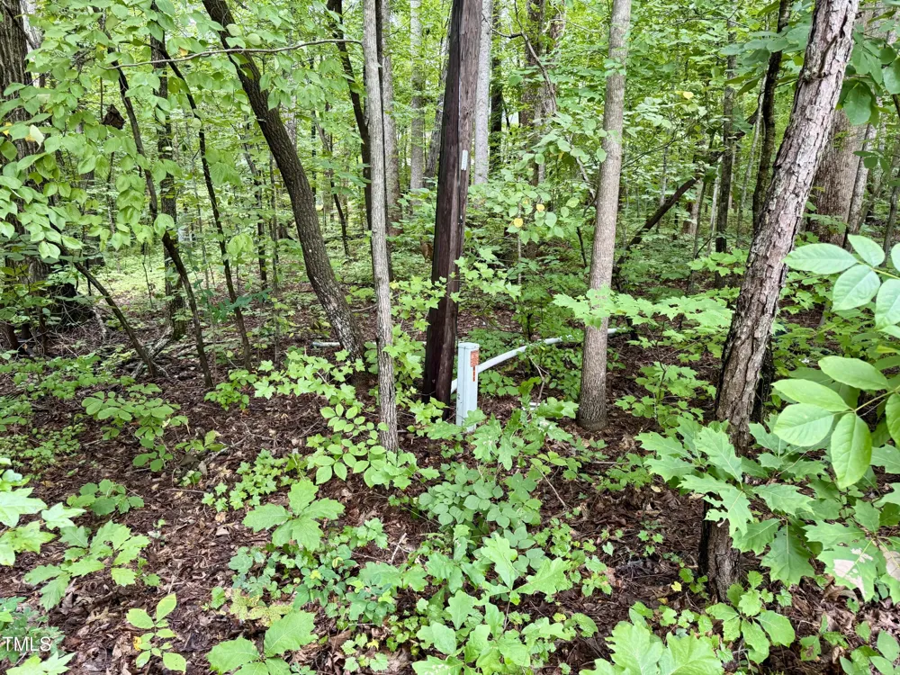 3901 Old Nc 86 Hillsborough, NC 27278