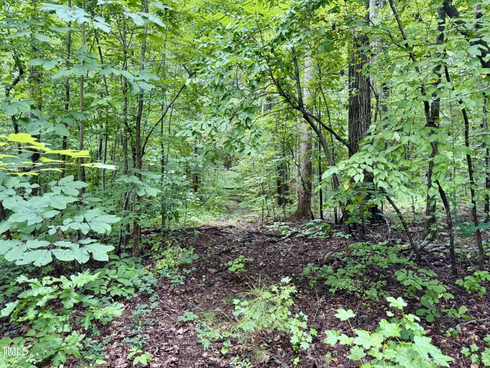 3901 Old Nc 86 Hillsborough, NC 27278