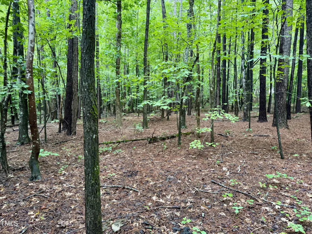 3901 Old Nc 86 Hillsborough, NC 27278
