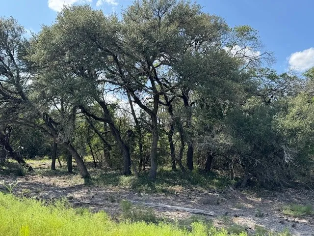 23 Rifle Ridge Burnet, TX 78611