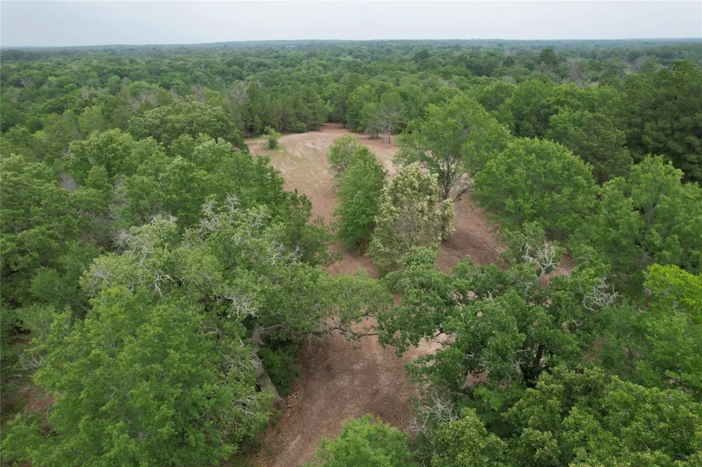 County Road 3470 E Lovelady, TX 75851