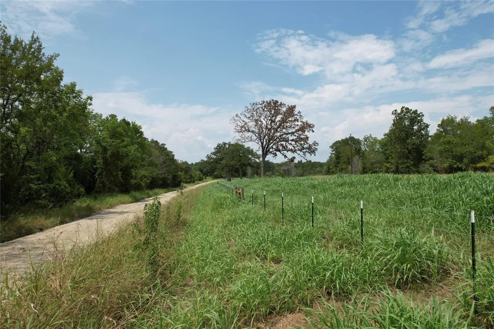 County Road 3470 E Lovelady, TX 75851