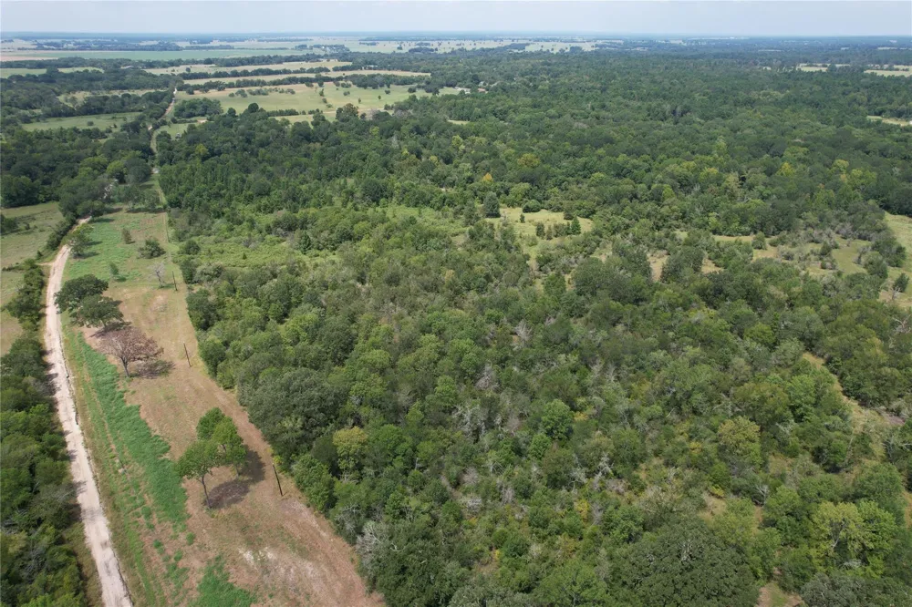 County Road 3470 E Lovelady, TX 75851