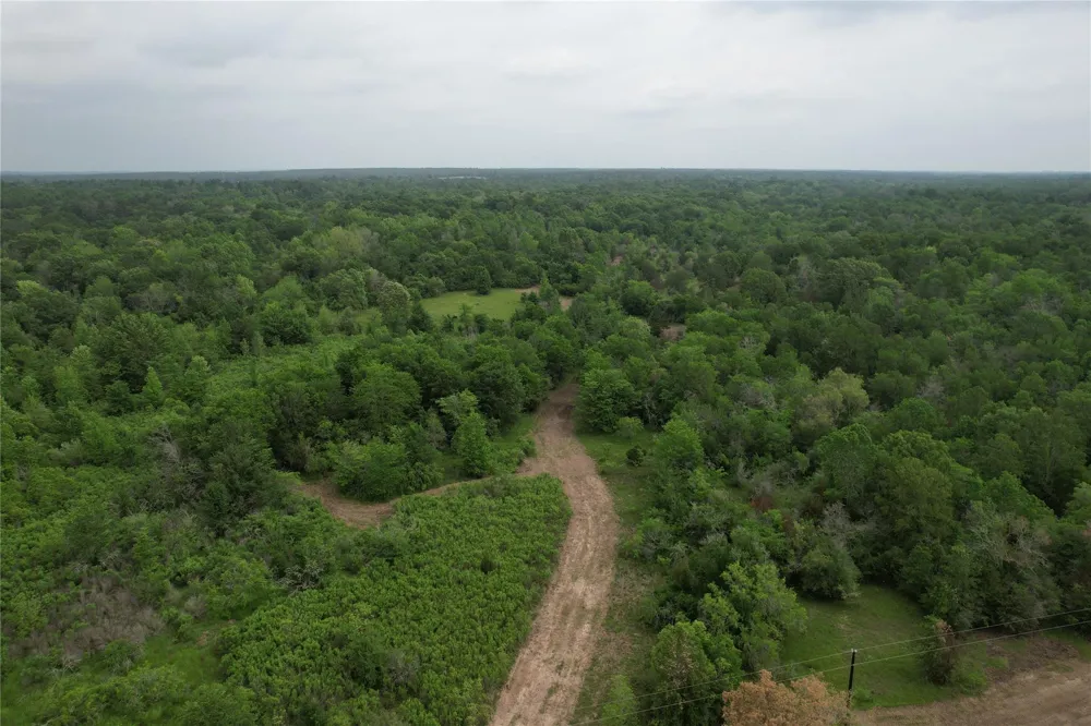 County Road 3470 E Lovelady, TX 75851