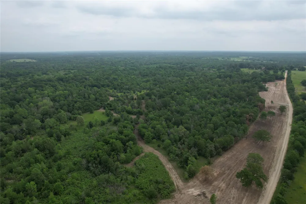 County Road 3470 E Lovelady, TX 75851