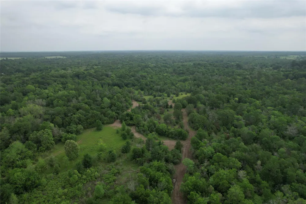 County Road 3470 E Lovelady, TX 75851