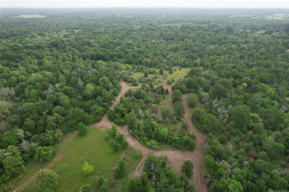 County Road 3470 E Lovelady, TX 75851
