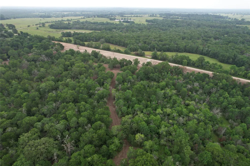 County Road 3470 E Lovelady, TX 75851