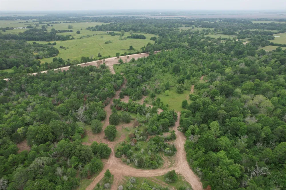 County Road 3470 E Lovelady, TX 75851