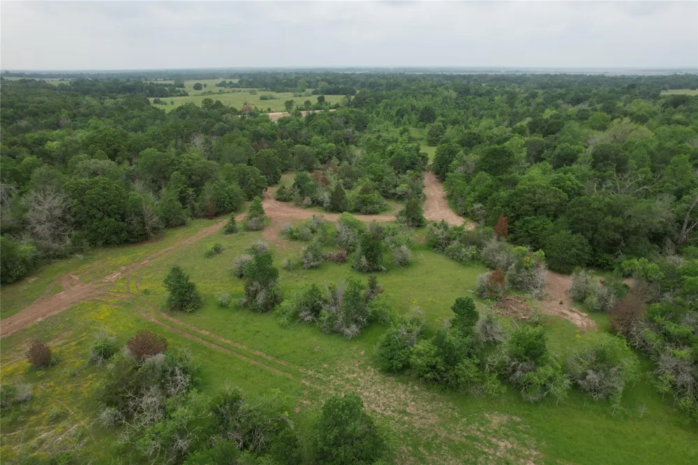 County Road 3470 E Lovelady, TX 75851