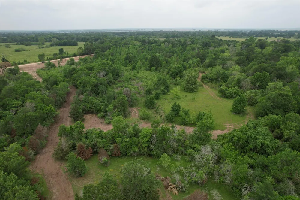 County Road 3470 E Lovelady, TX 75851