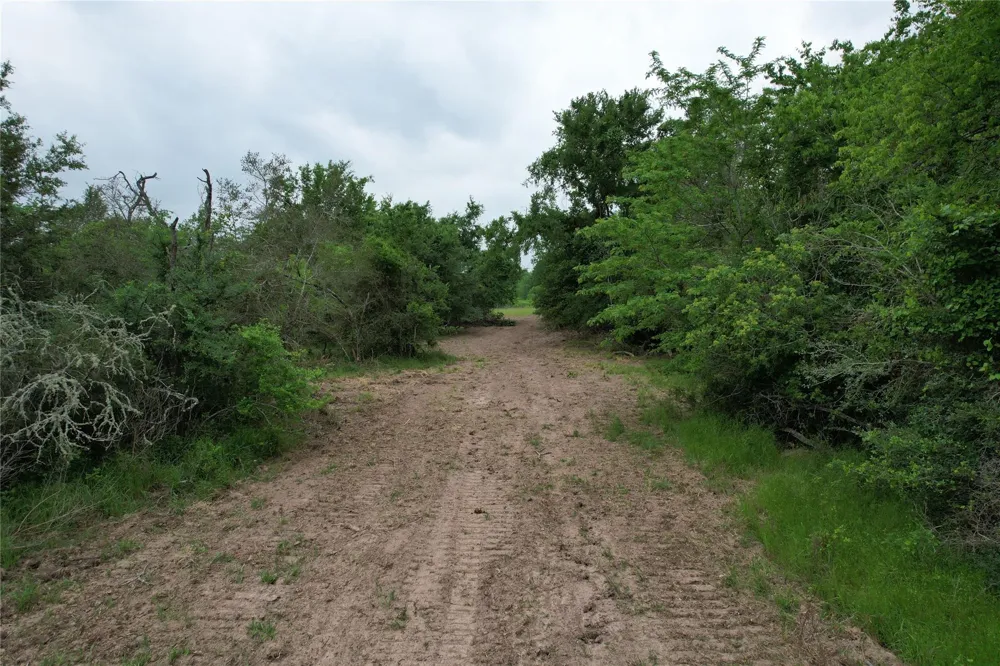 County Road 3470 E Lovelady, TX 75851