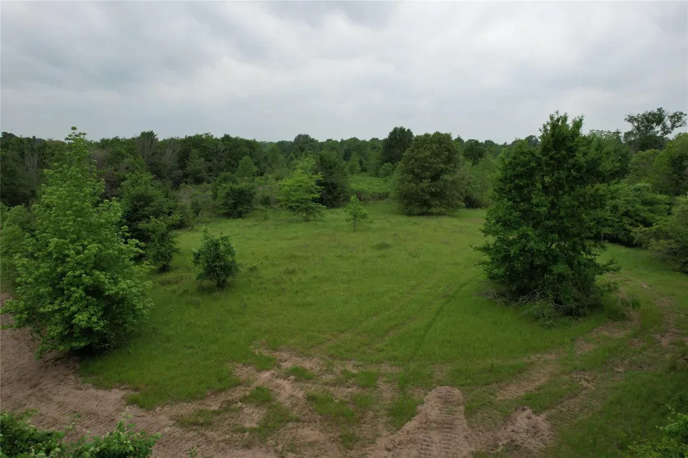 County Road 3470 E Lovelady, TX 75851