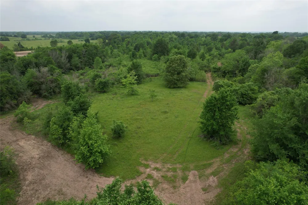 County Road 3470 E Lovelady, TX 75851