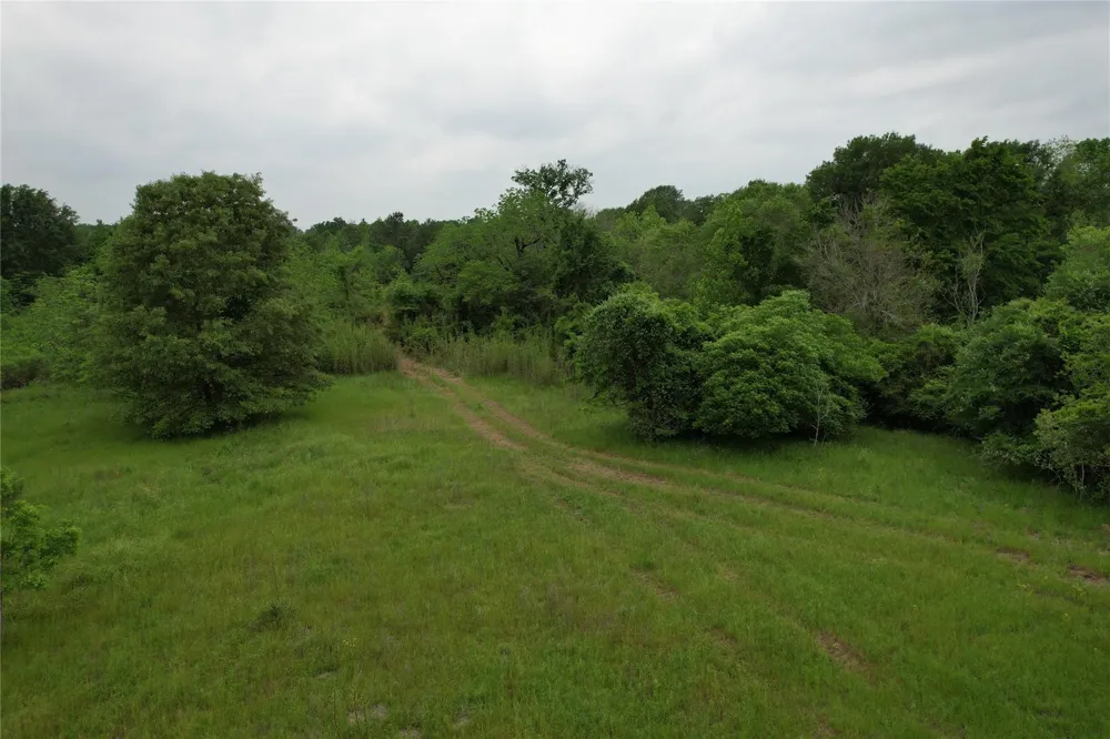 County Road 3470 E Lovelady, TX 75851