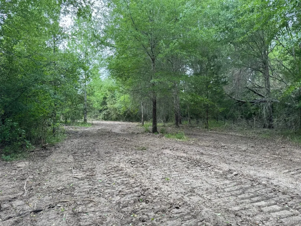 County Road 3470 E Lovelady, TX 75851