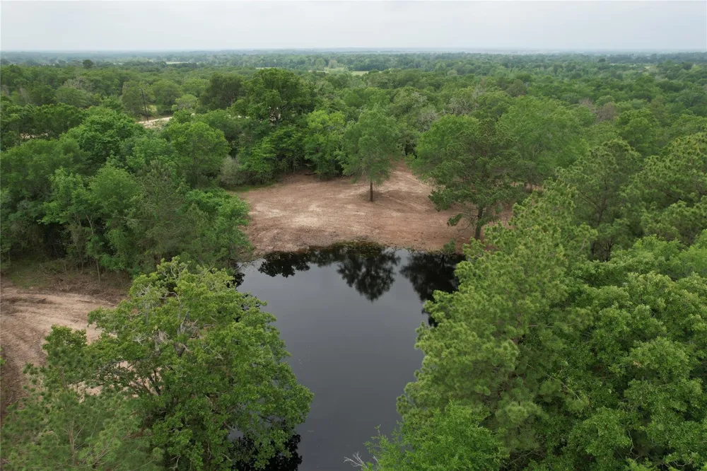 County Road 3470 E Lovelady, TX 75851