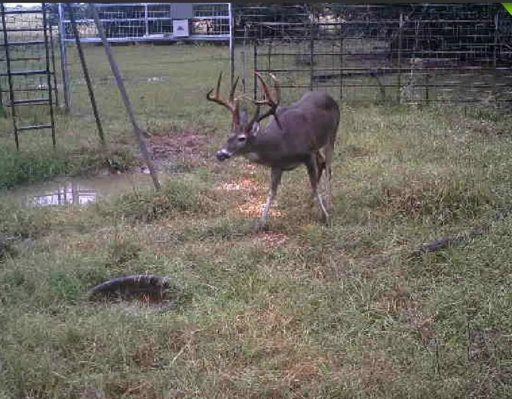 County Road 3470 E Lovelady, TX 75851