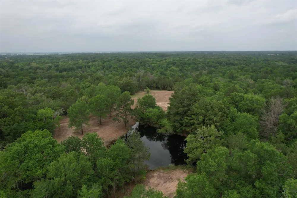 County Road 3470 E Lovelady, TX 75851