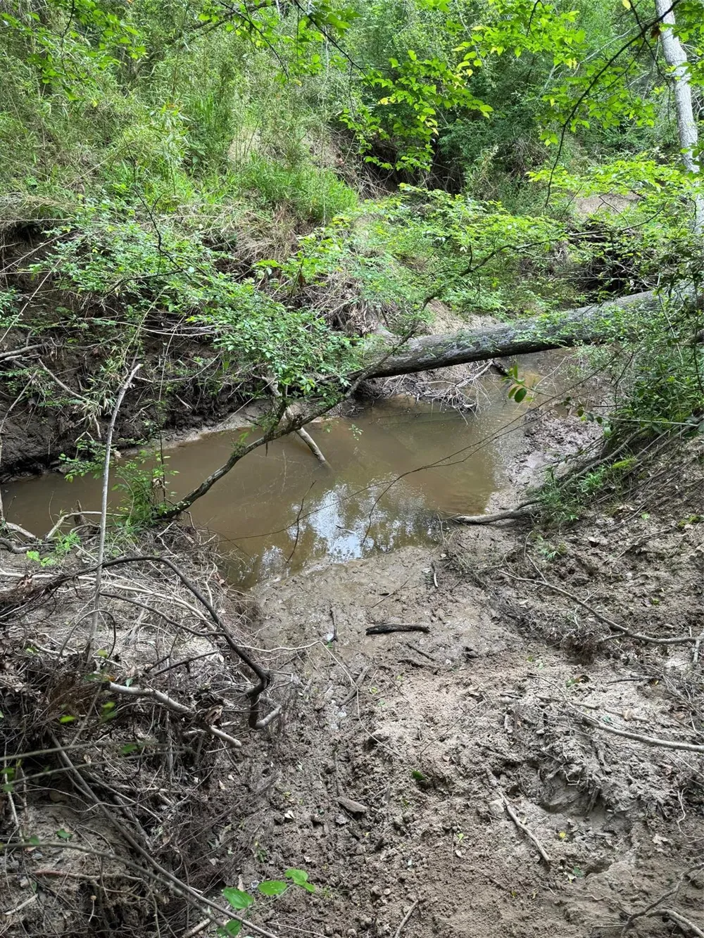 County Road 3470 E Lovelady, TX 75851