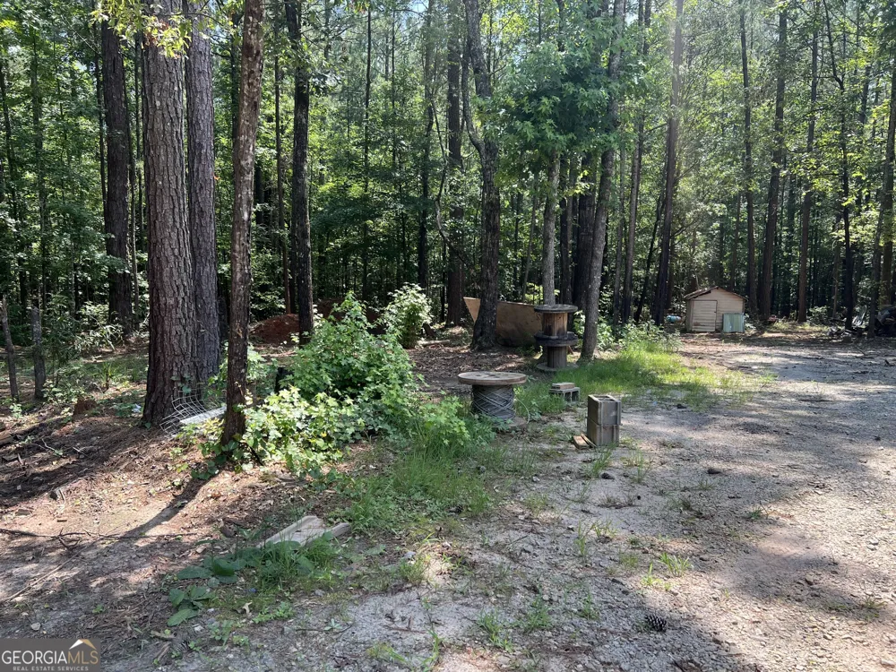 905 Natures TRL Forsyth, GA 31029