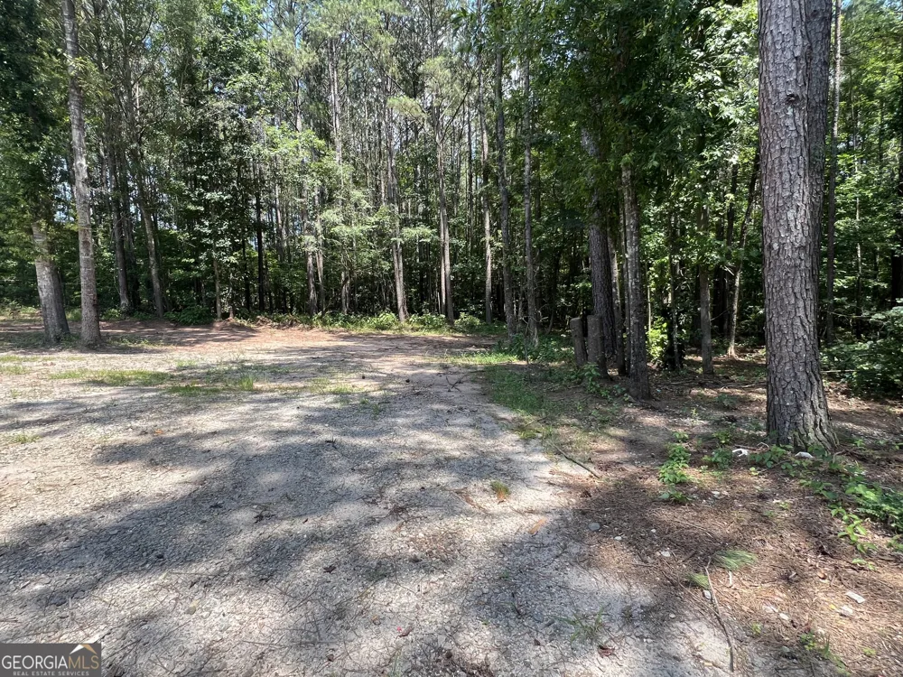 905 Natures TRL Forsyth, GA 31029