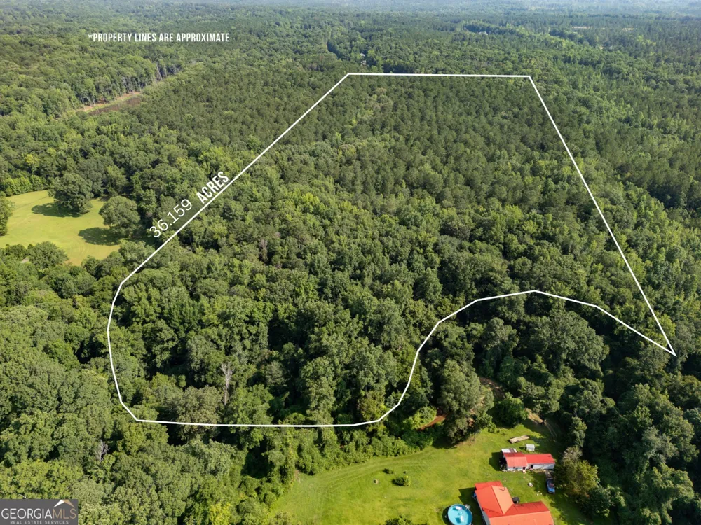 905 Natures TRL Forsyth, GA 31029