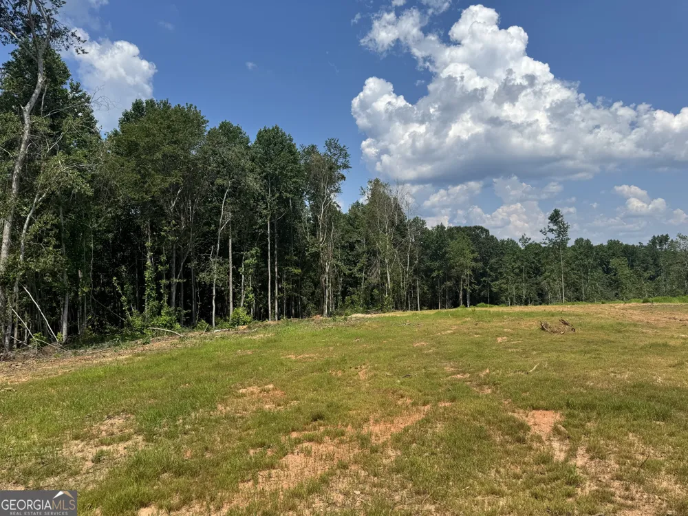 LOT 4 Happy Hollow RD Roopville, GA 30170