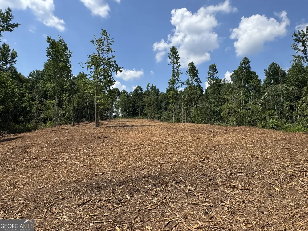 LOT 4 Happy Hollow RD Roopville, GA 30170