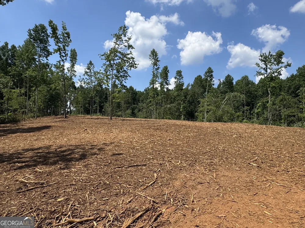 LOT 4 Happy Hollow RD Roopville, GA 30170