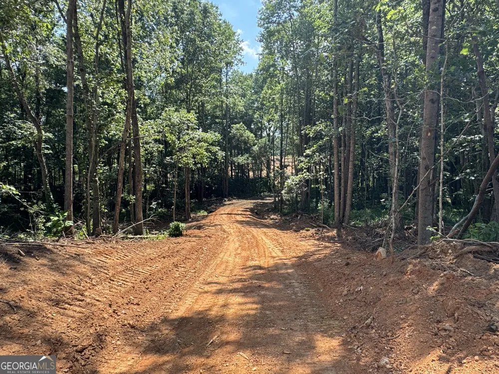 LOT 4 Happy Hollow RD Roopville, GA 30170