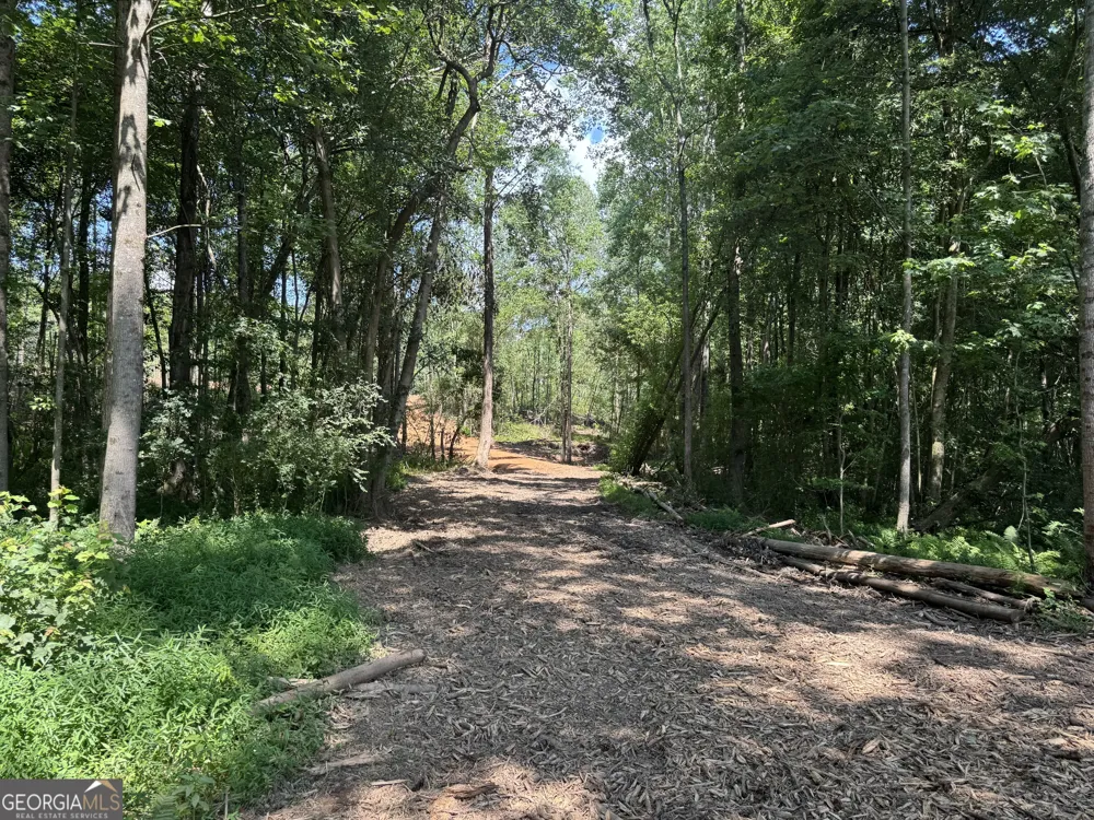 LOT 4 Happy Hollow RD Roopville, GA 30170