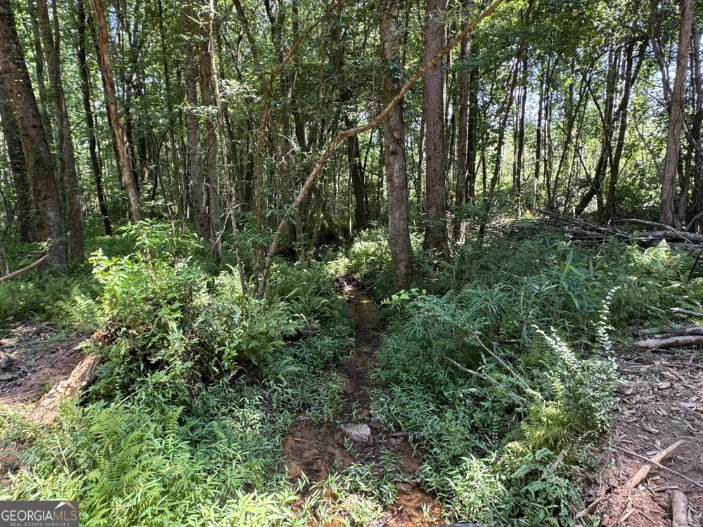 LOT 4 Happy Hollow RD Roopville, GA 30170