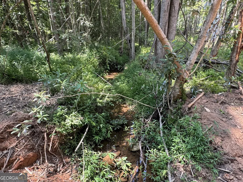LOT 4 Happy Hollow RD Roopville, GA 30170