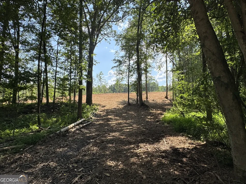LOT 4 Happy Hollow RD Roopville, GA 30170