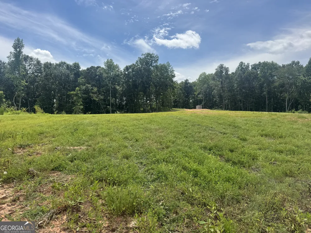 LOT 4 Happy Hollow RD Roopville, GA 30170